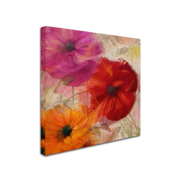 Color Bakery 'Penchant For Poppies I' Canvas Art,24x24